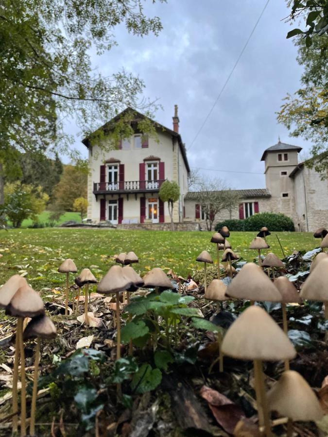 مبيت وإفطار Caylus Domaine La Rose المظهر الخارجي الصورة
